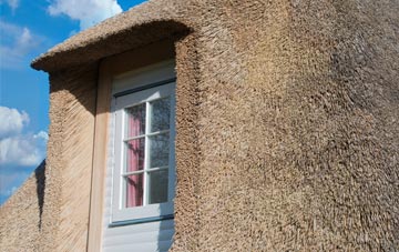 Muiredge thatch roof disadvantages